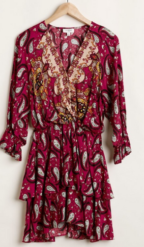 Paisley Passion Dress